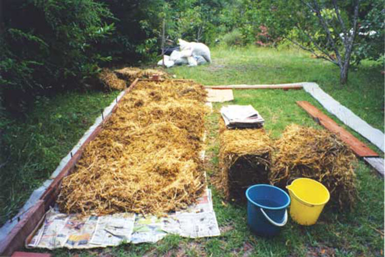 what-type-of-mulch-is-best